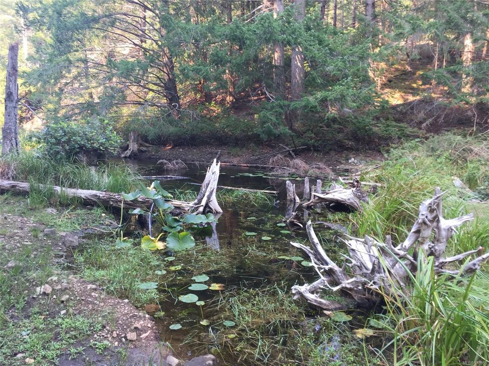 Photo 2 at  Trematon Lake, Lasqueti Island, Islands
