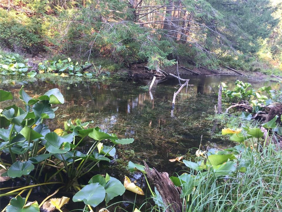 Photo 3 at  Trematon Lake, Lasqueti Island, Islands