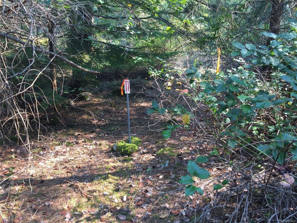 Photo 4 at  Trematon Lake, Lasqueti Island, Islands
