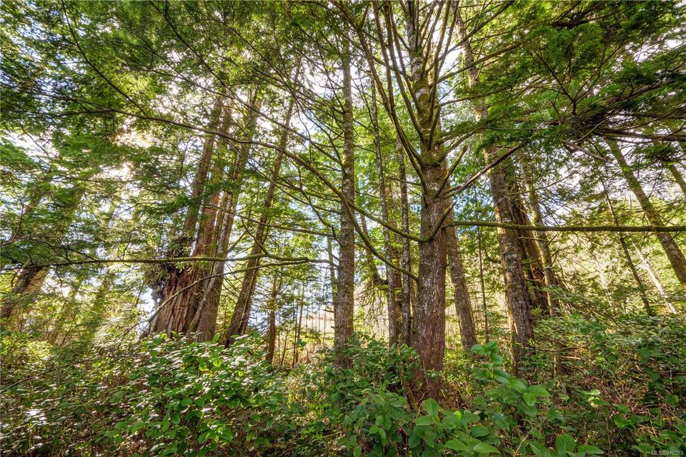 Photo 14 at 1198 Front Street, Salmon Beach, Port Alberni