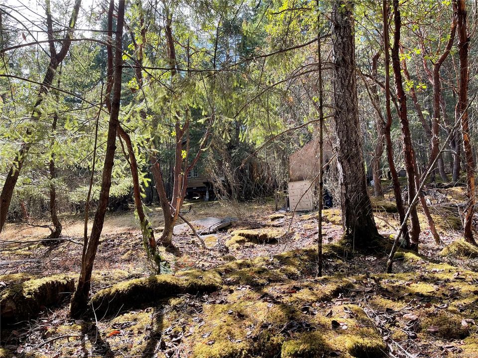 Photo 3 at Lot 32 View Ridge Road, Mudge Island, Islands