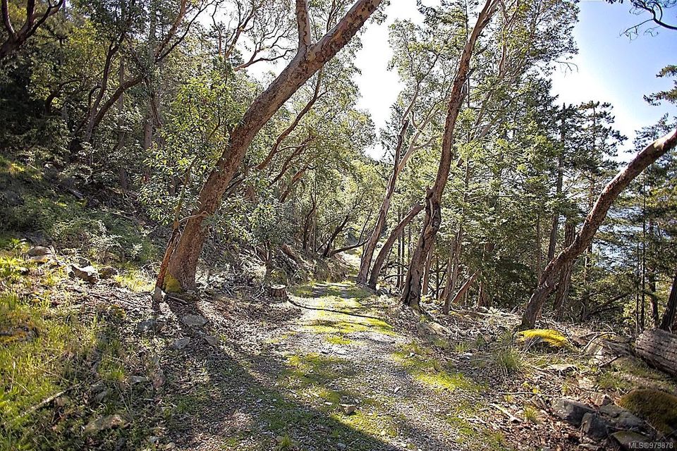 Photo 8 at 206 West Narrows Road, Salt Spring, Gulf Islands