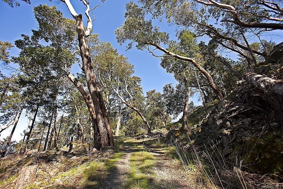 Photo 10 at 206 West Narrows Road, Salt Spring, Gulf Islands