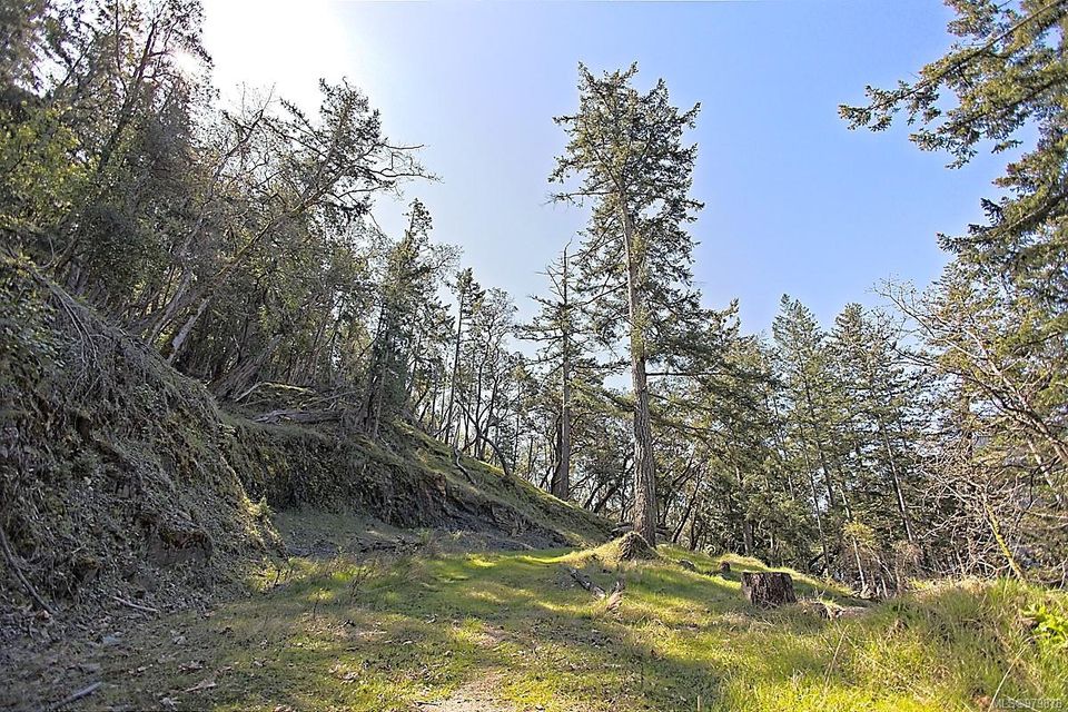 Photo 11 at 206 West Narrows Road, Salt Spring, Gulf Islands