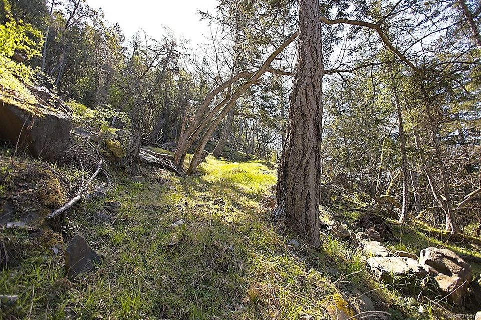 Photo 12 at 206 West Narrows Road, Salt Spring, Gulf Islands