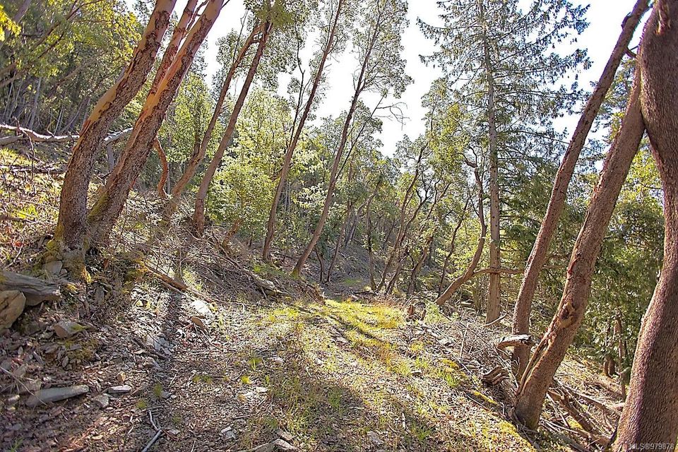 Photo 16 at 206 West Narrows Road, Salt Spring, Gulf Islands