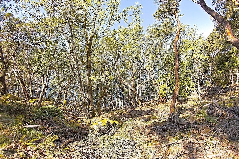 Photo 18 at 206 West Narrows Road, Salt Spring, Gulf Islands