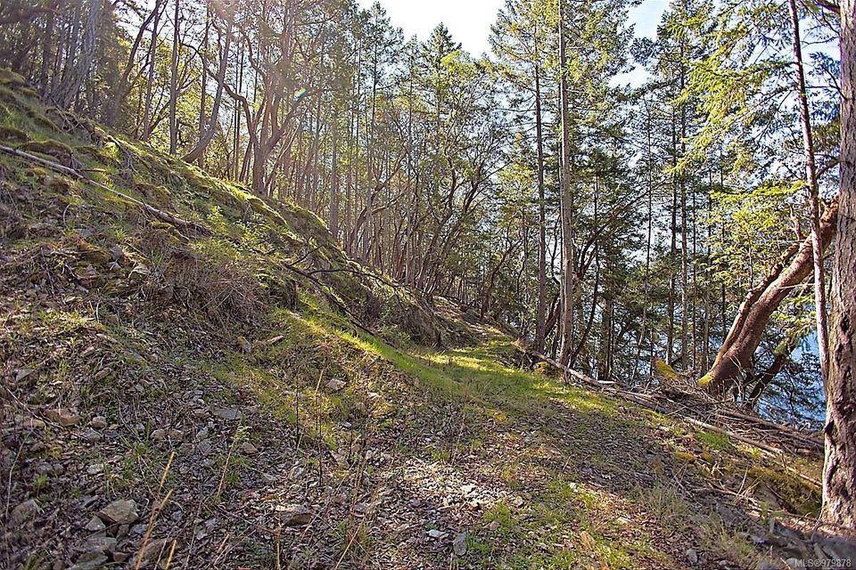 Photo 23 at 206 West Narrows Road, Salt Spring, Gulf Islands