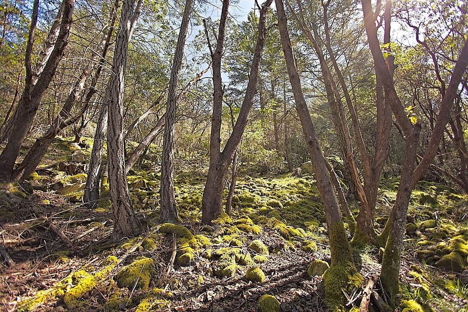 Photo 25 at 206 West Narrows Road, Salt Spring, Gulf Islands