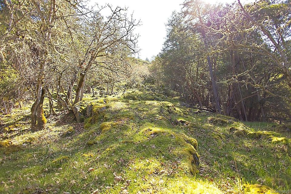 Photo 27 at 206 West Narrows Road, Salt Spring, Gulf Islands