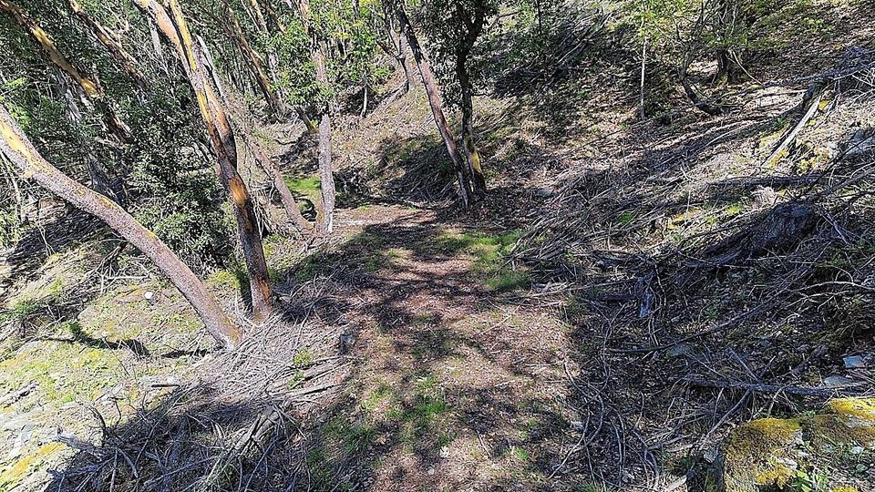 Photo 33 at 206 West Narrows Road, Salt Spring, Gulf Islands