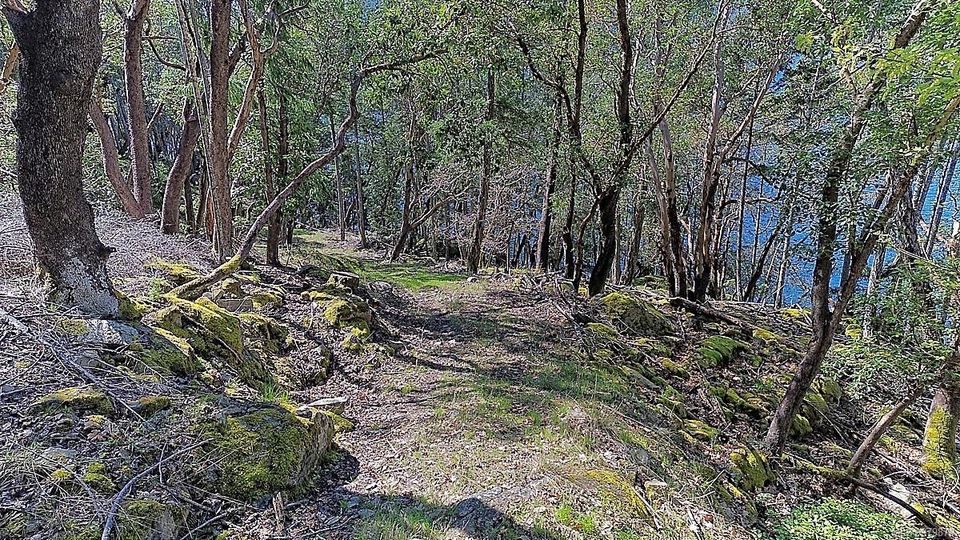 Photo 34 at 206 West Narrows Road, Salt Spring, Gulf Islands