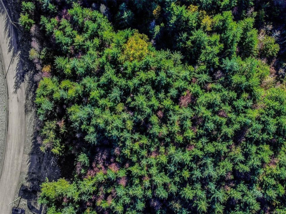 Photo 7 at Lot 2 Clark Road, Otter Point, Sooke